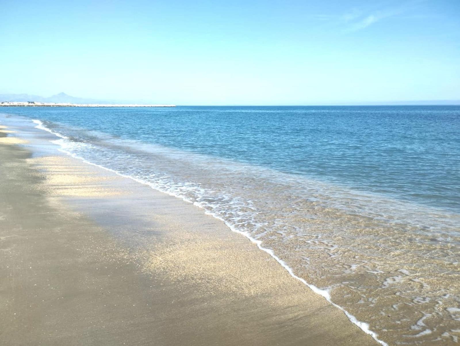 En El Paraiso Del * El Verger