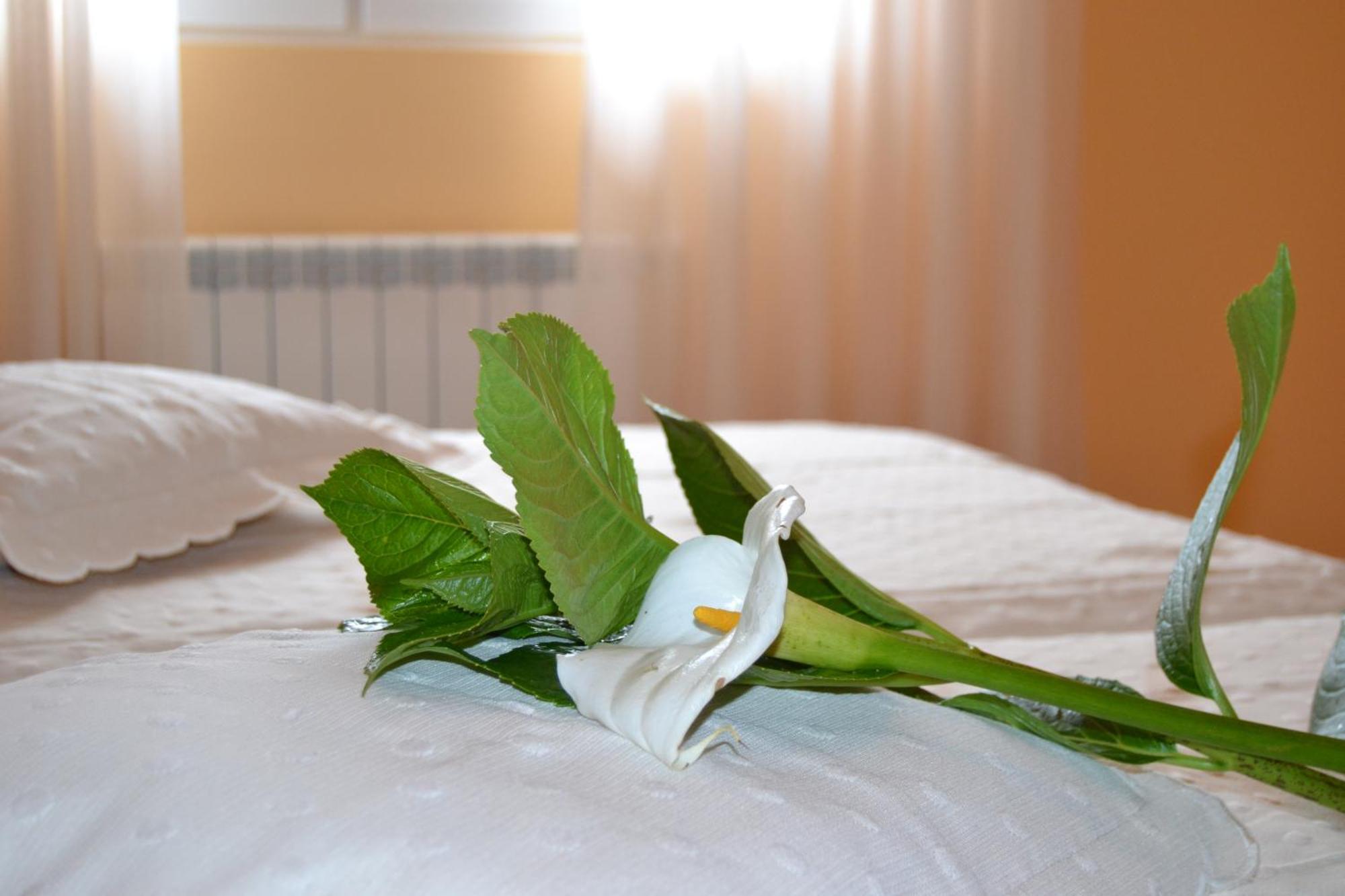 Guest house Pereirina