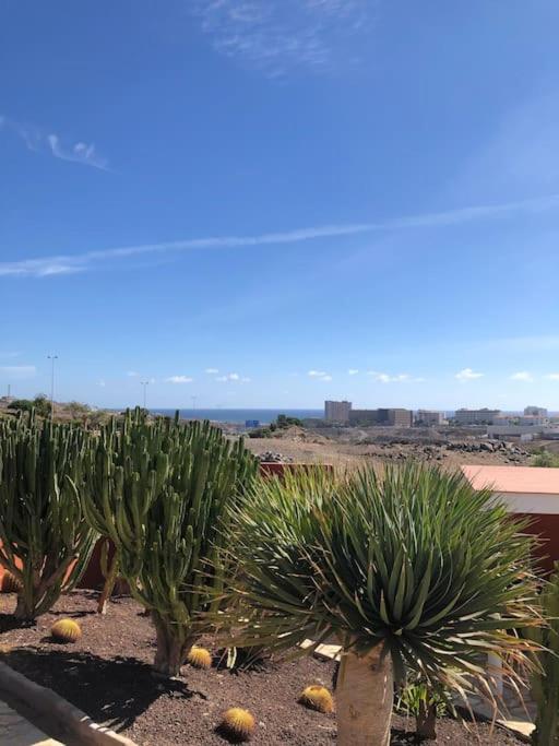 Casa Macken Con Piscina Climatizada Y Jacuzzi Holiday home *