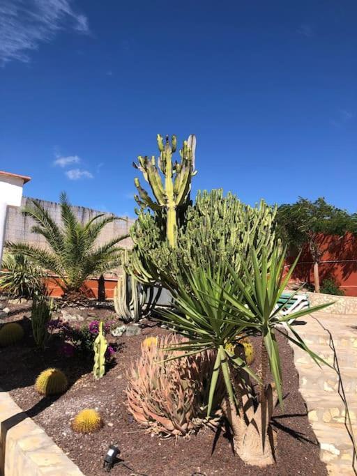 Holiday home Casa Macken Con Piscina Climatizada Y Jacuzzi San Bartolome de Tirajana (Gran Canaria)