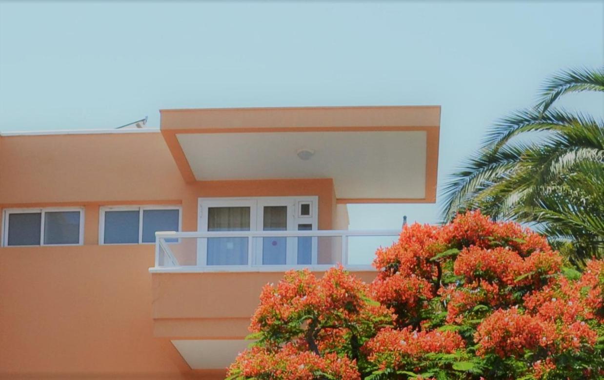 Horizonte Apartamento *