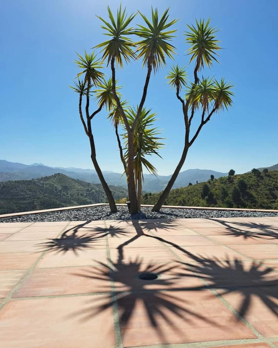 Casa Amani Bed and breakfast