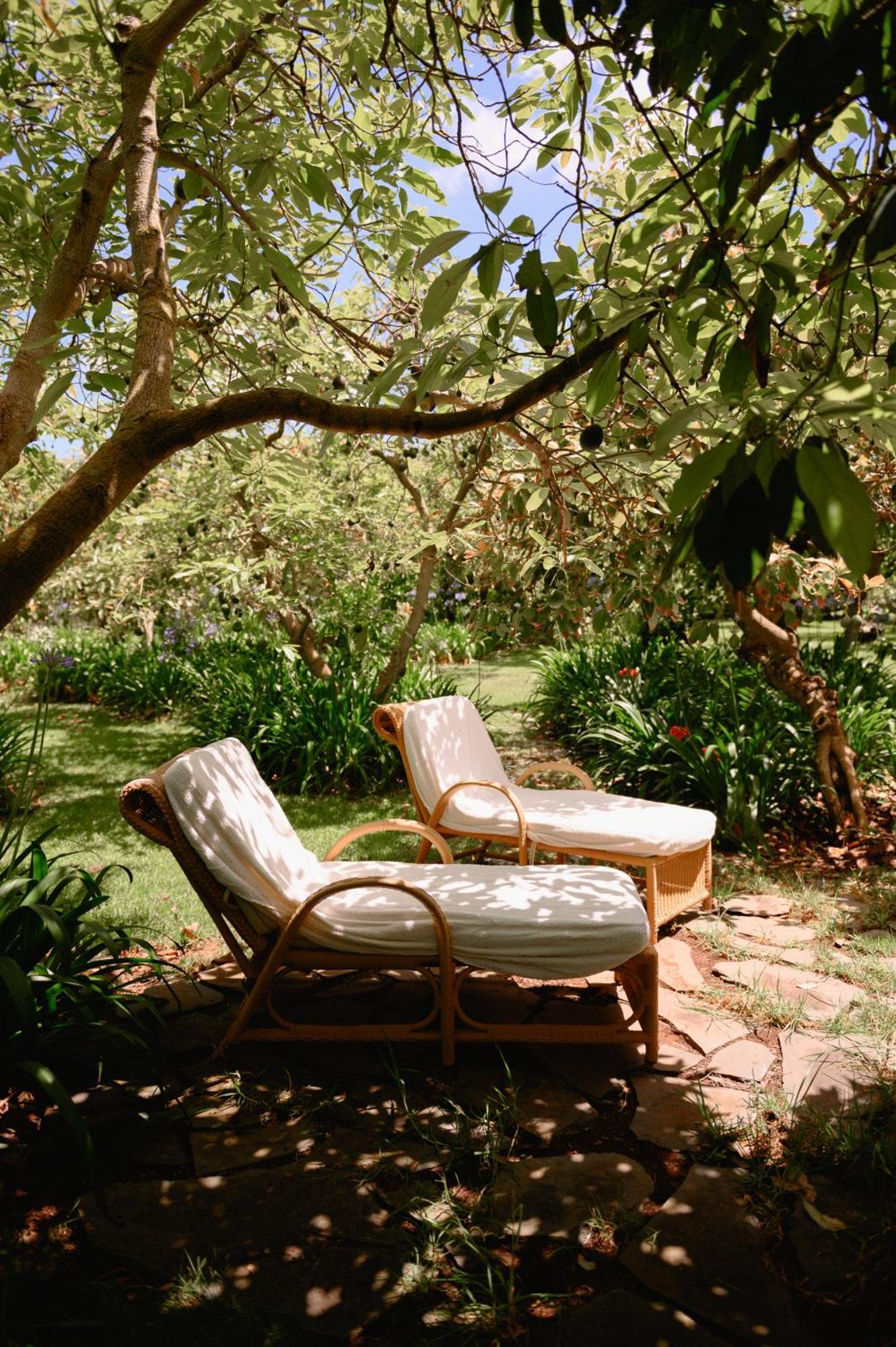 Homeforguest Rural House With Garden El Laurel Apartamento Tacoronte