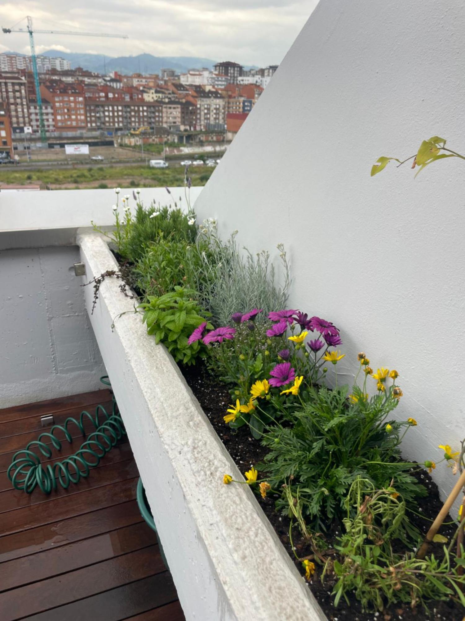 El Atico De La Playa Parking Gratis Gijon
