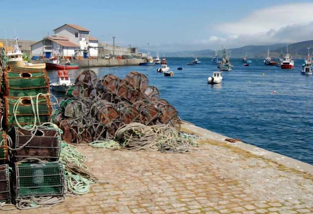 Costa Canido -