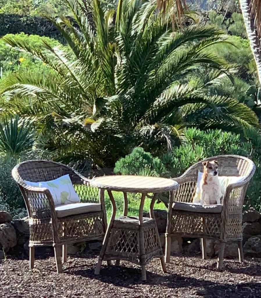 Luxury In Nature With Swimming Pool Luxus-finca In Der Mit Pool, De Lujo En La Naturaleza Con Piscina El Retamar