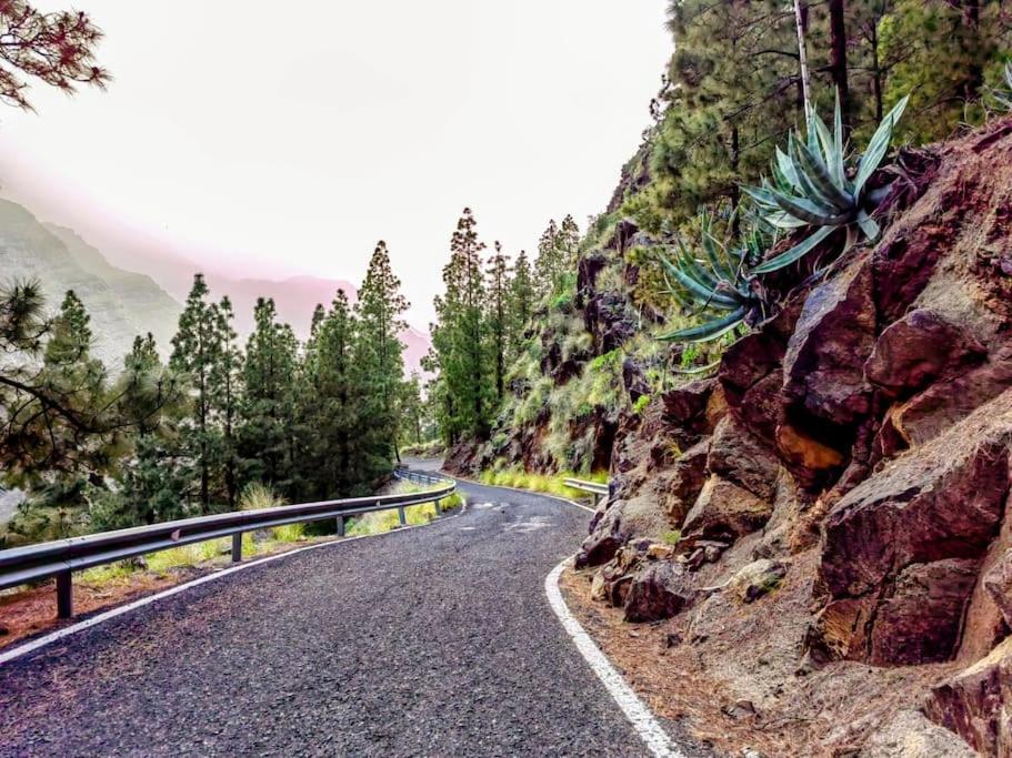 Tamadaba * Agaete (Gran Canaria)