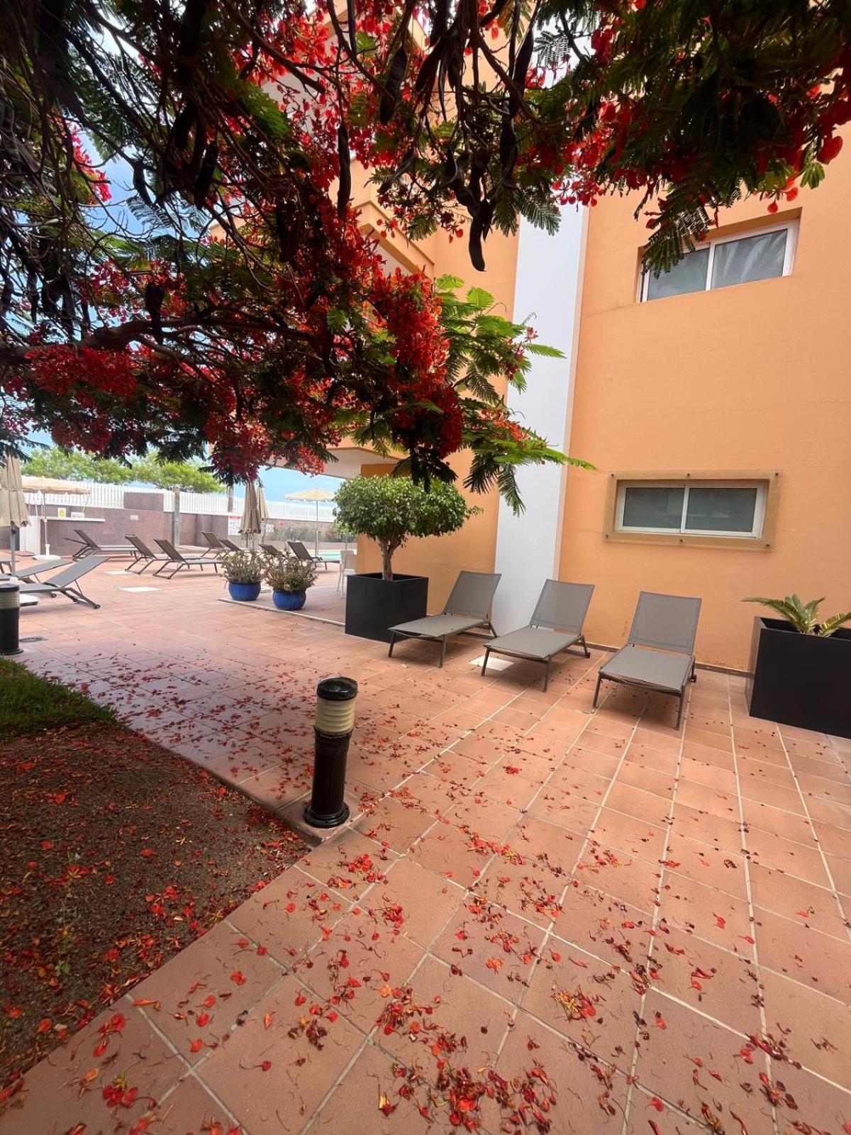 Apartamento Horizonte *