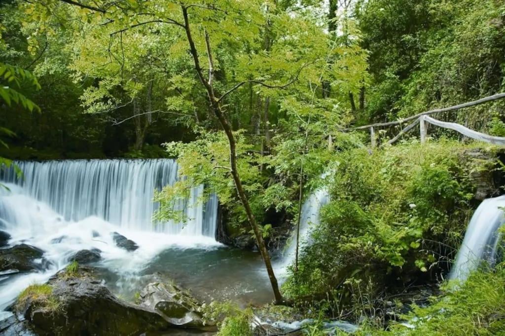 Сasa de vacaciones Stunning Restored Mill Boimouro Piantes