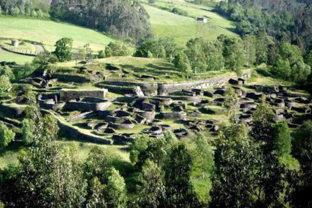 Stunning Restored Mill Boimouro Сasa de vacaciones Piantes