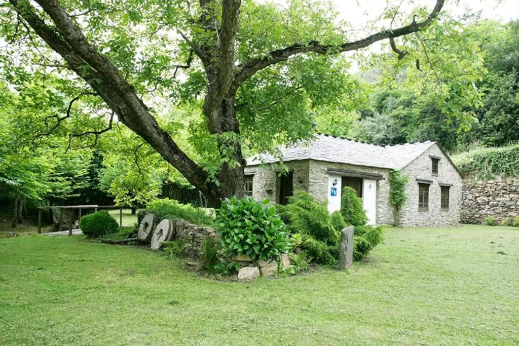 Stunning Restored Mill Boimouro *