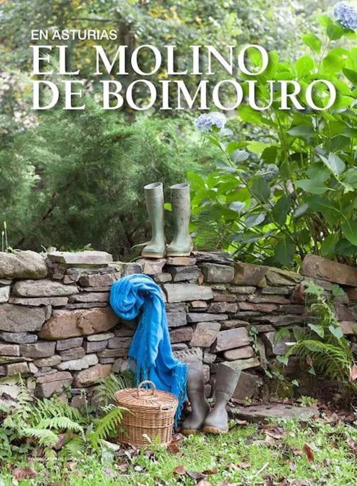 Сasa de vacaciones Stunning Restored Mill Boimouro Piantes