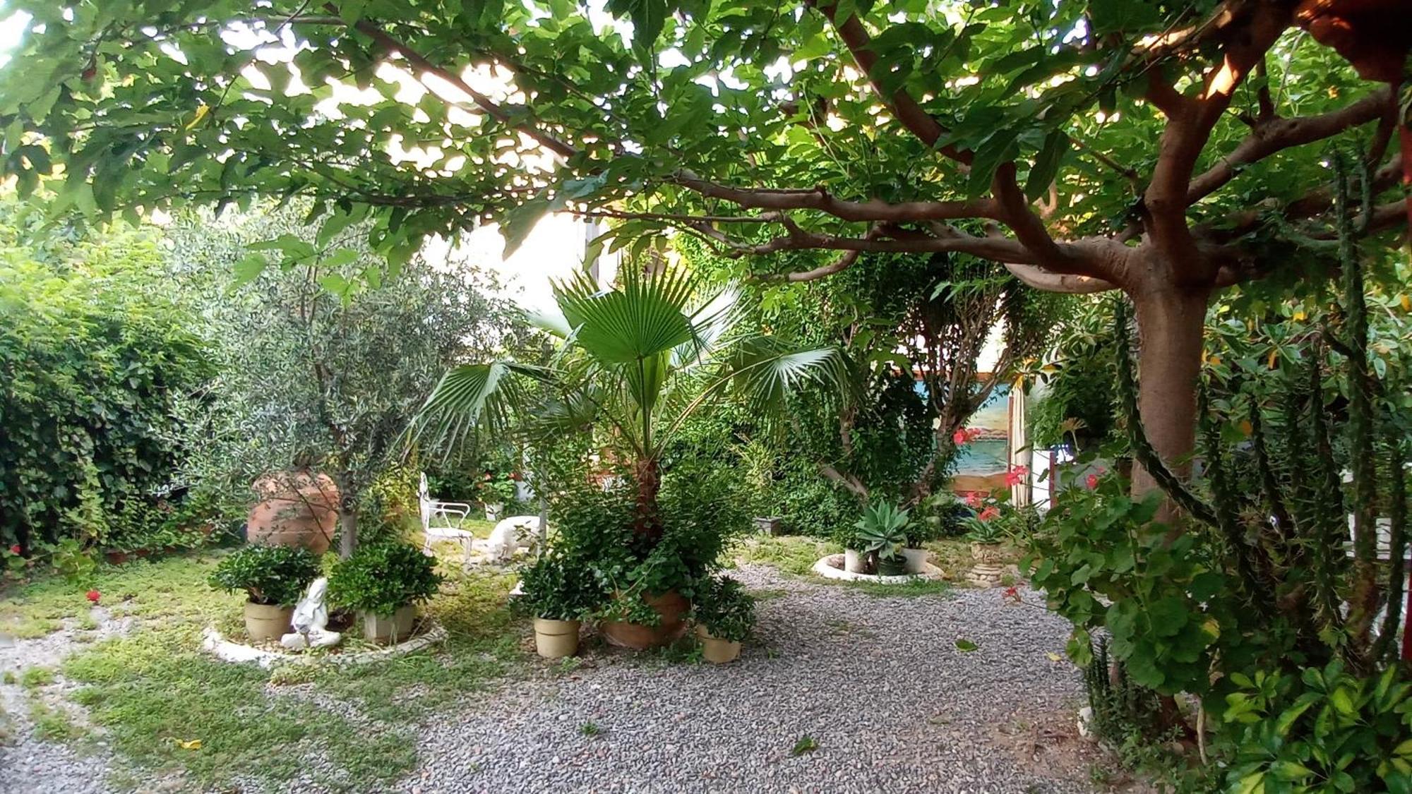 Casa Con Jardin Frente Playa De Holiday home Burriana