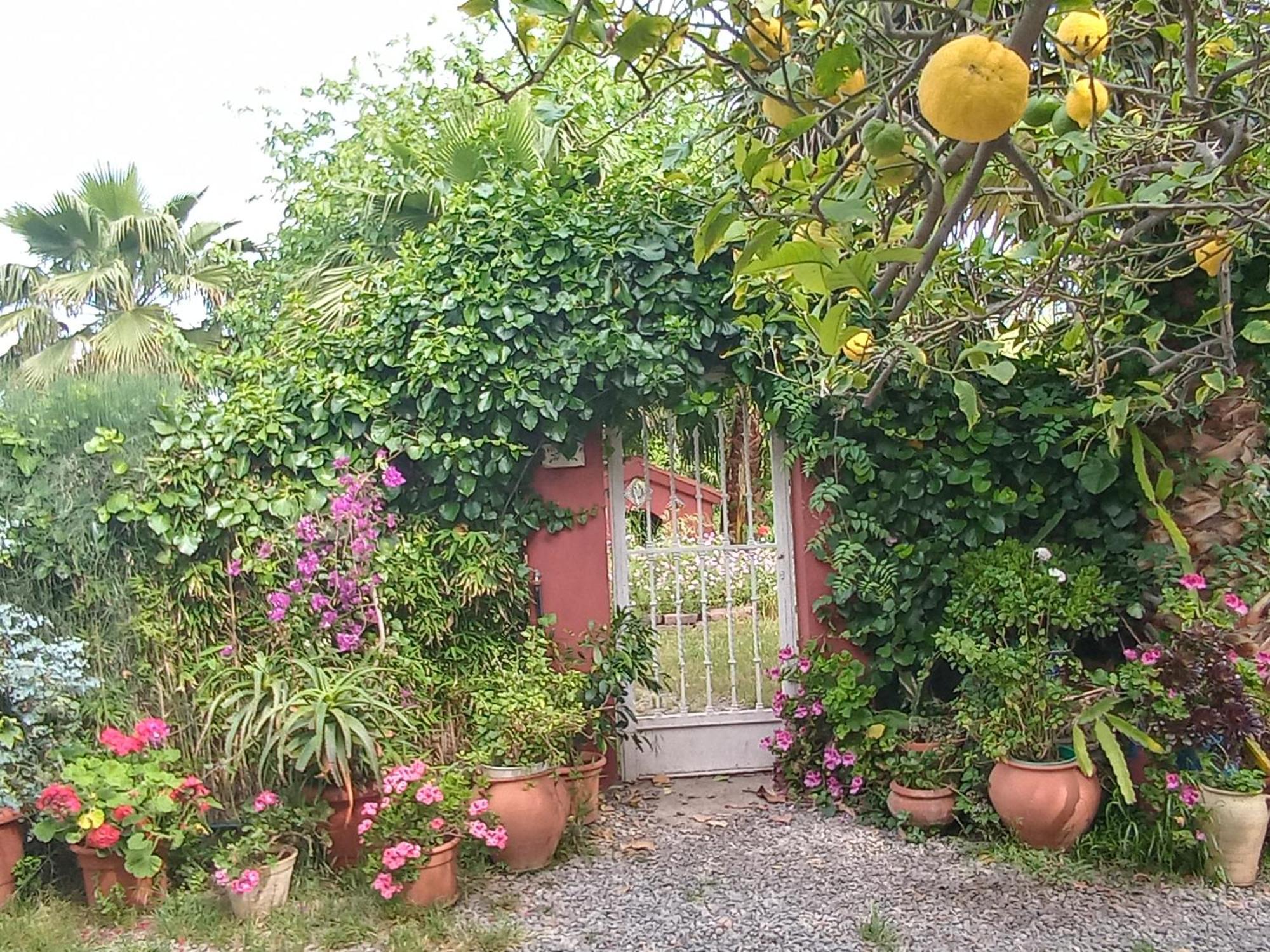 Holiday home Casa Con Jardin Frente Playa De *