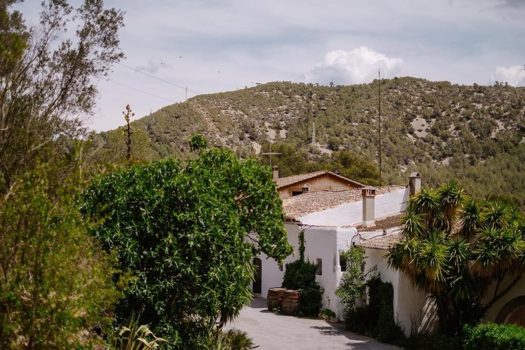 Catalina Aka Almanita Sant Pere De Ribes