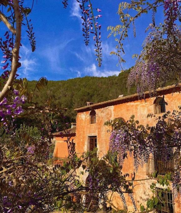 Catalina Aka Almanita Sant Pere De Ribes