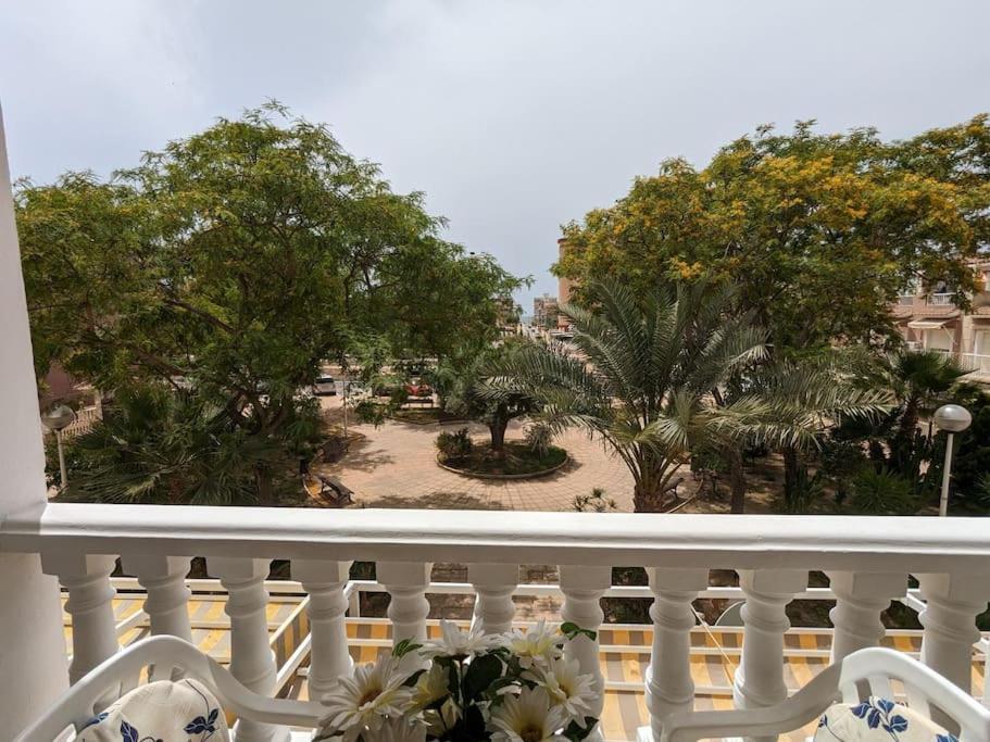 Apartment Brisa Marina