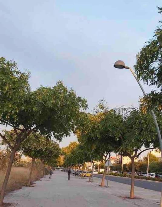 Lc Soler Blasco *