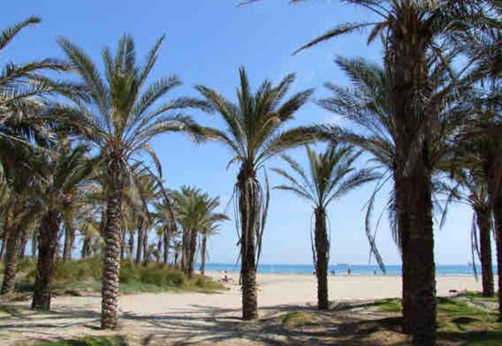 Lc Soler Blasco Apartment