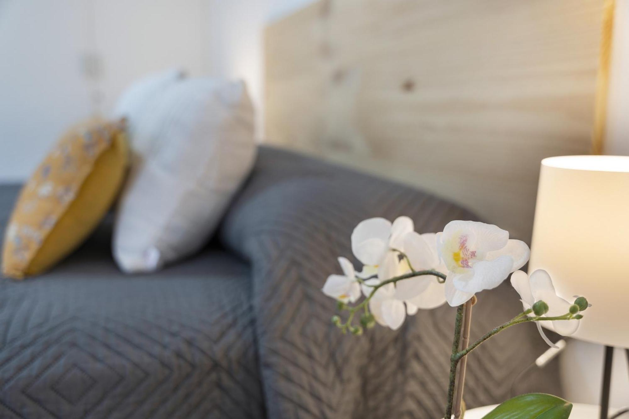 Vivir Bajamar Apartment Bajamar (La Laguna)