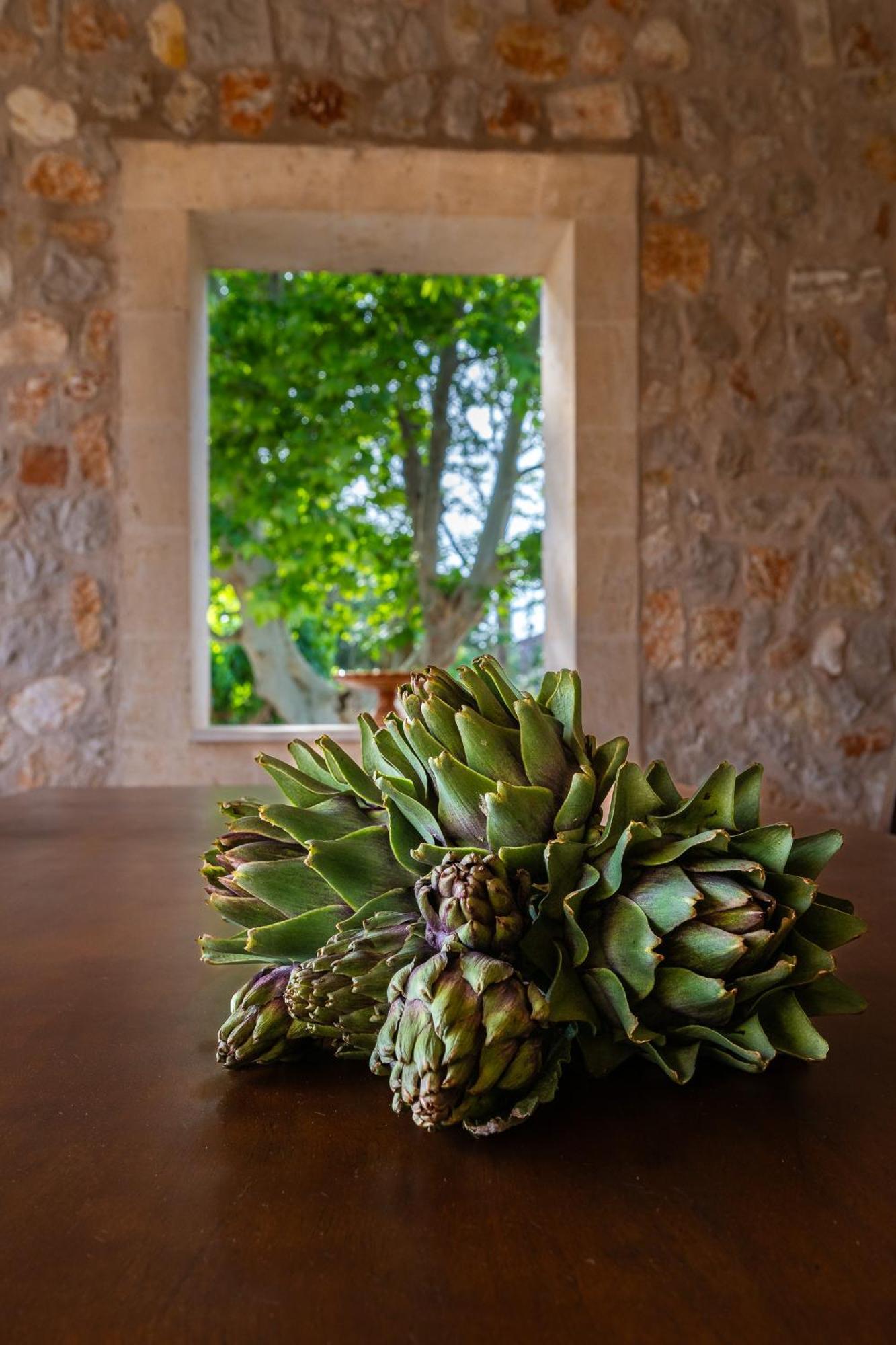 Finca Manacor Villa
