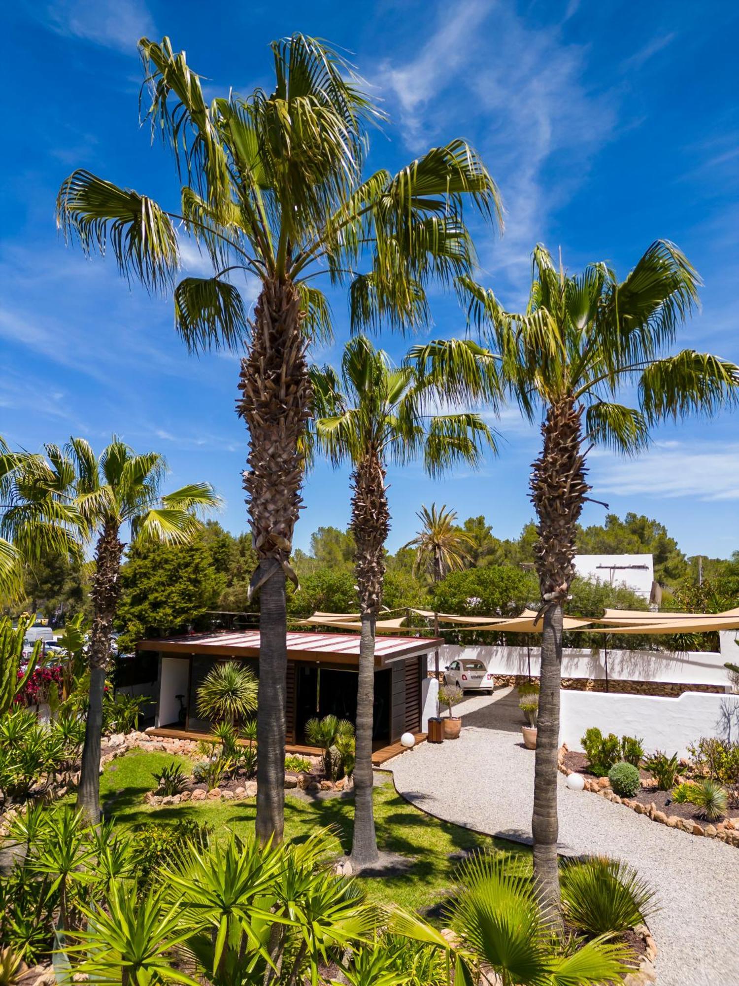 Boutique Ses Pitreras Hotel San Antonio Abad