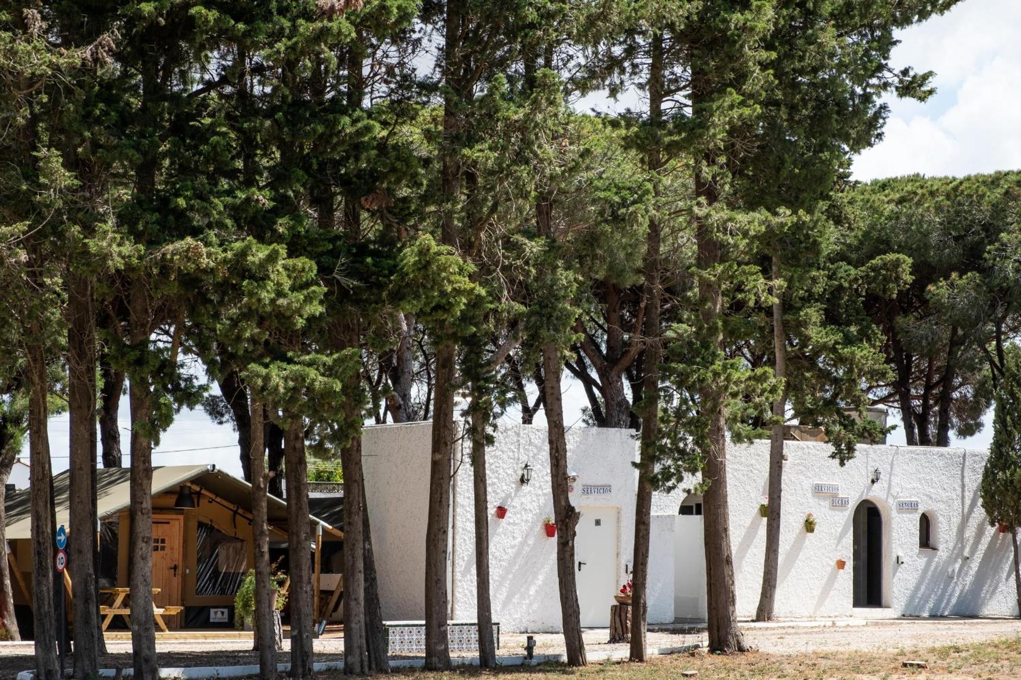 Taiga Conil Camping Conil De La Frontera