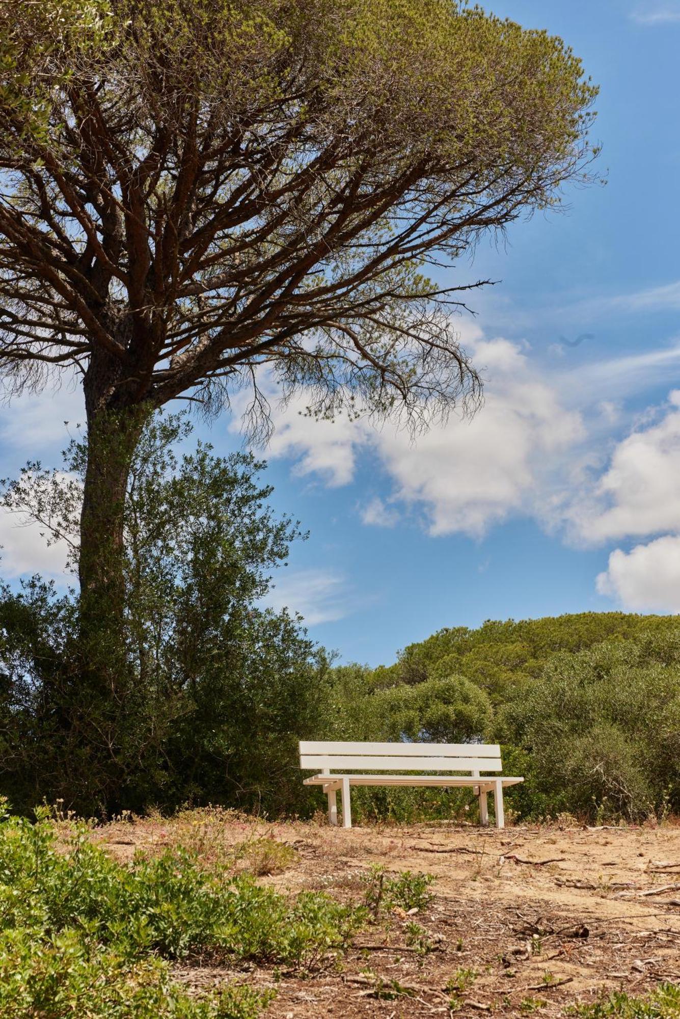 Taiga Conil Camping Conil De La Frontera