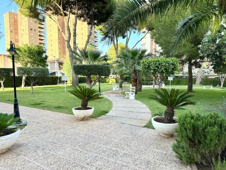 Apartment Campoamor Edificio Rhin