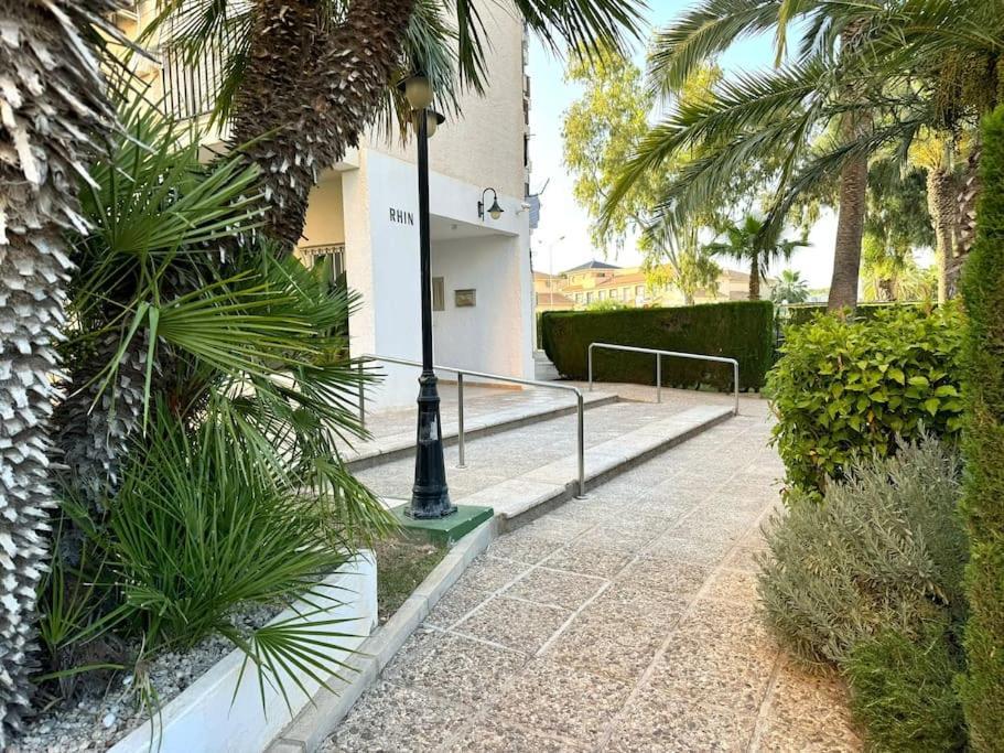 Campoamor Edificio Rhin Apartment *