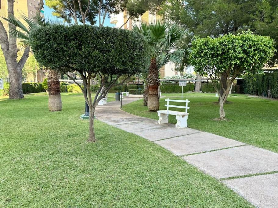 Campoamor Edificio Rhin Apartment *