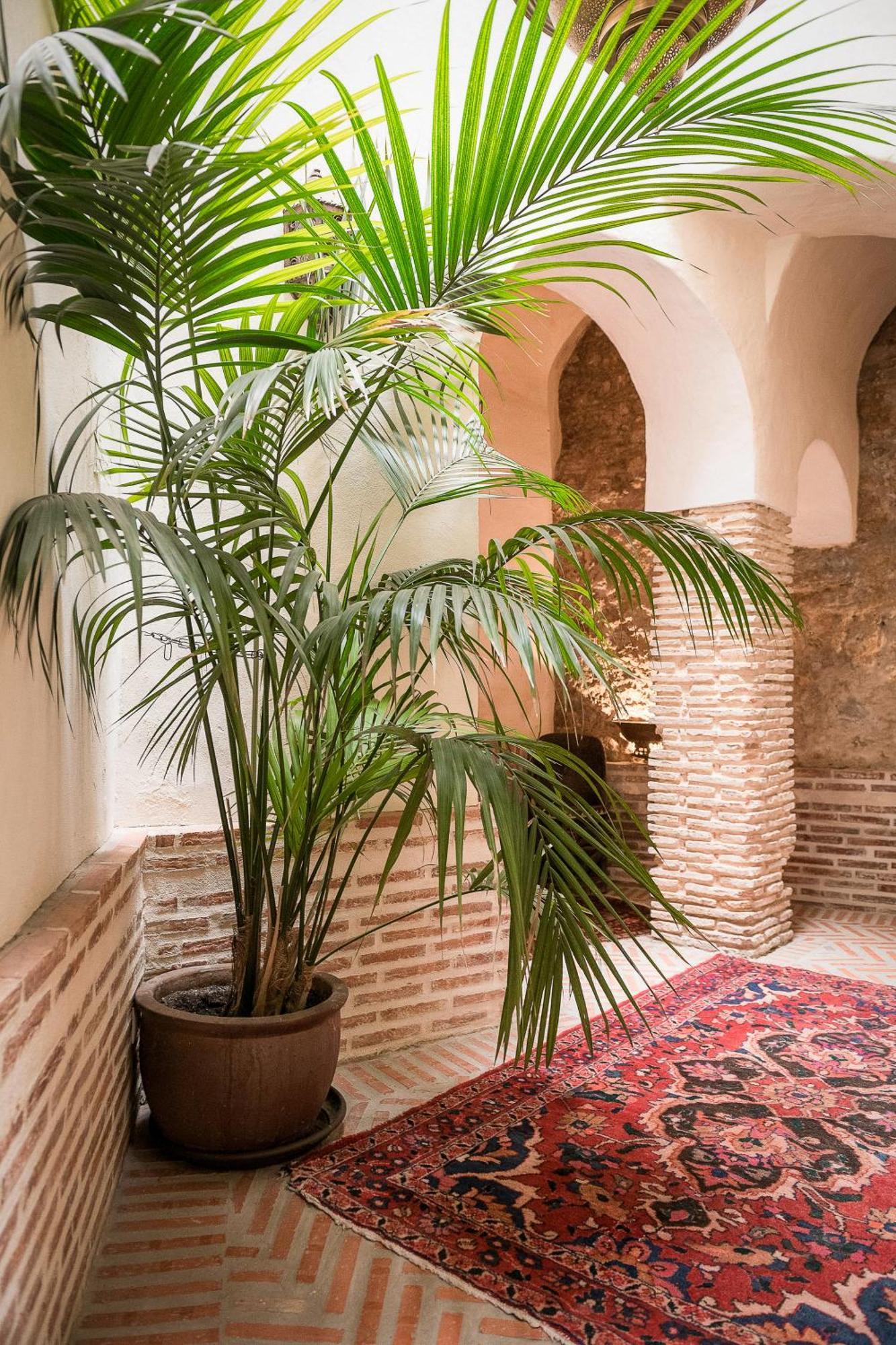 Casa rural Palmeras Del Califa