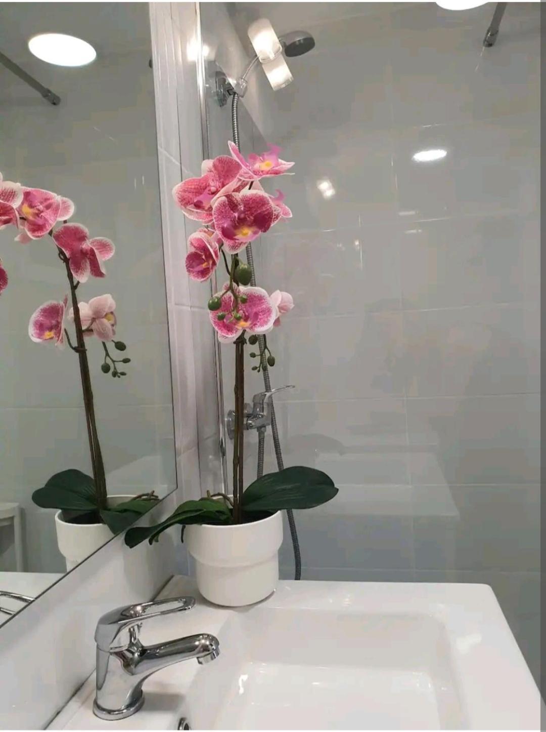 4 Apartment