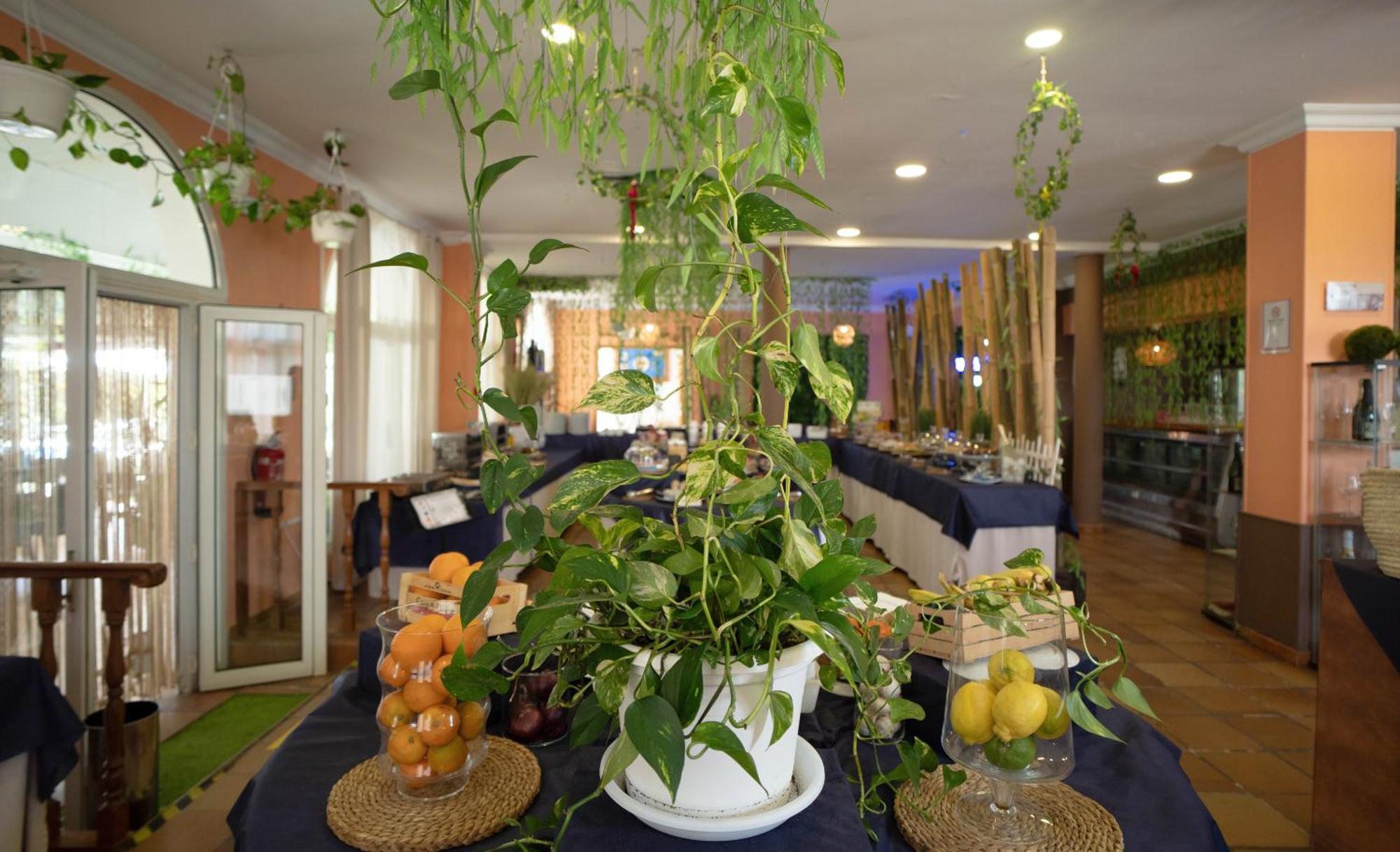 Hotel Albaida Nature Mazagón