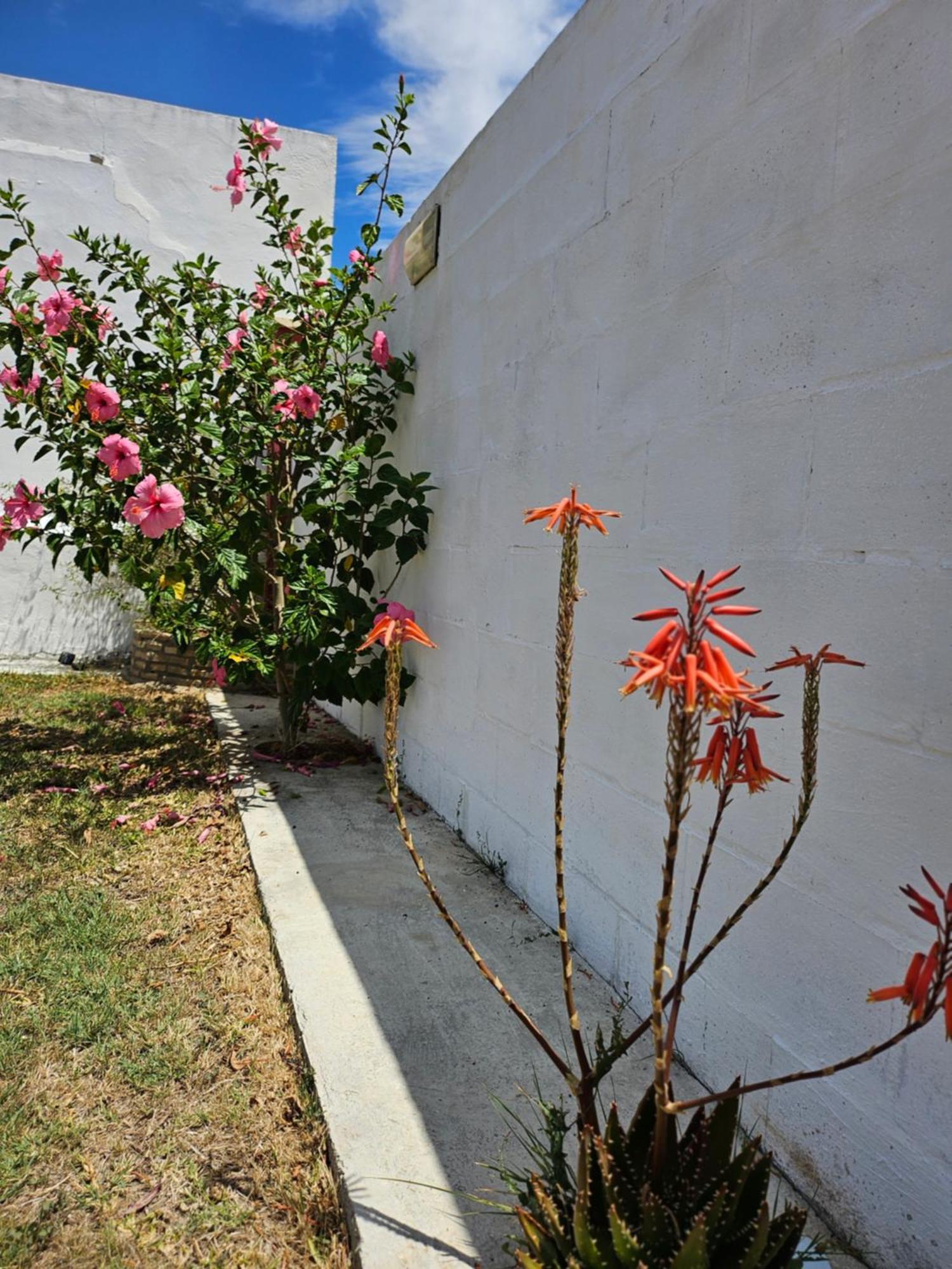 Nonina Holiday home