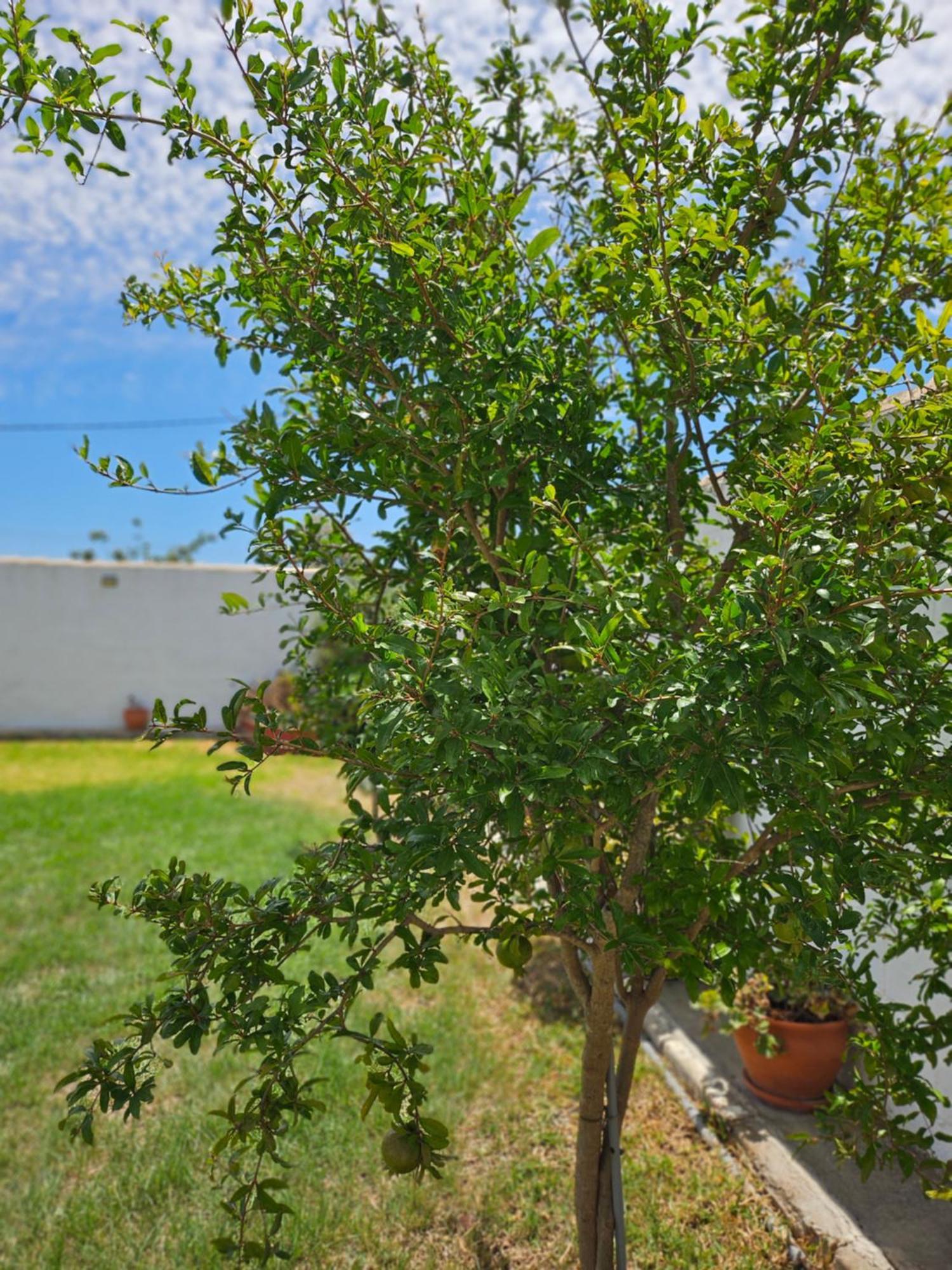 Nonina Holiday home *