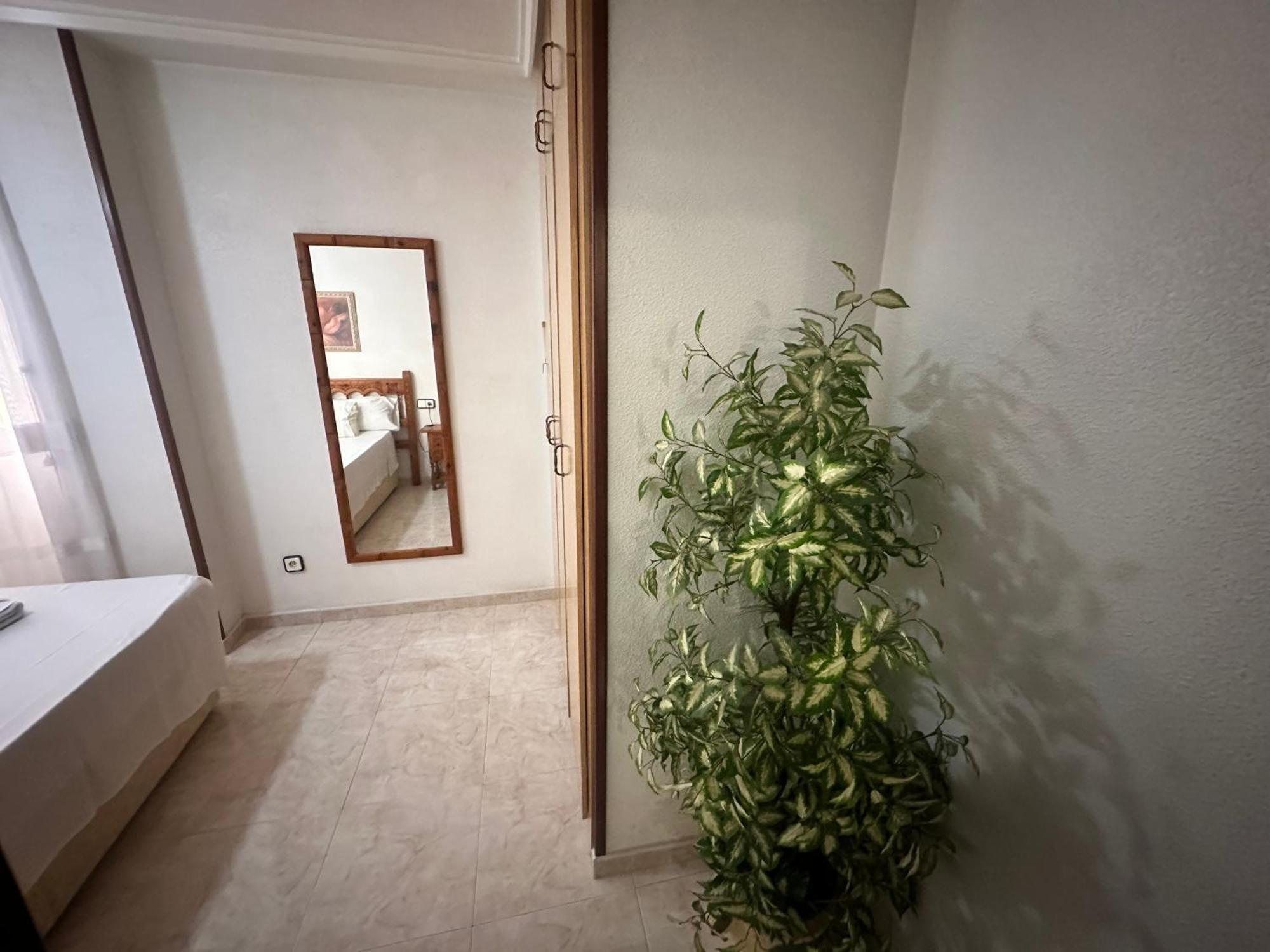 Apartment Homely Habaneras