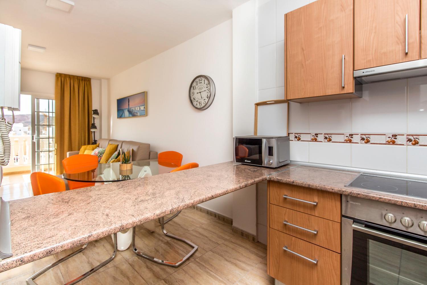 Spring Penthouse Apartment