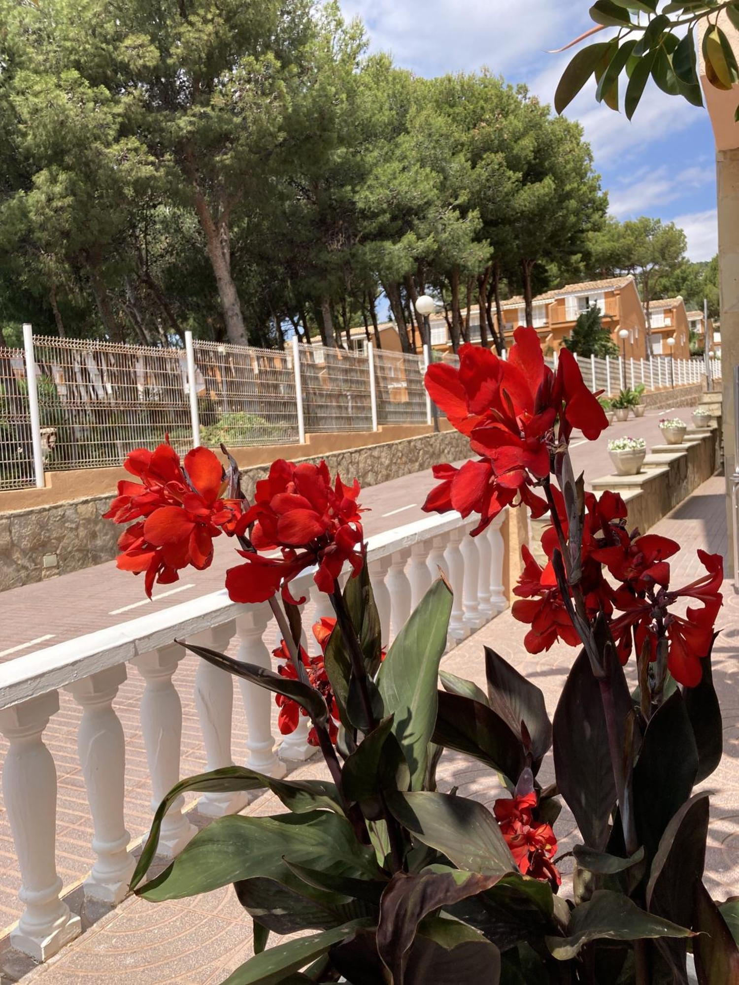 Hotel Sancho Iii Alcoceber