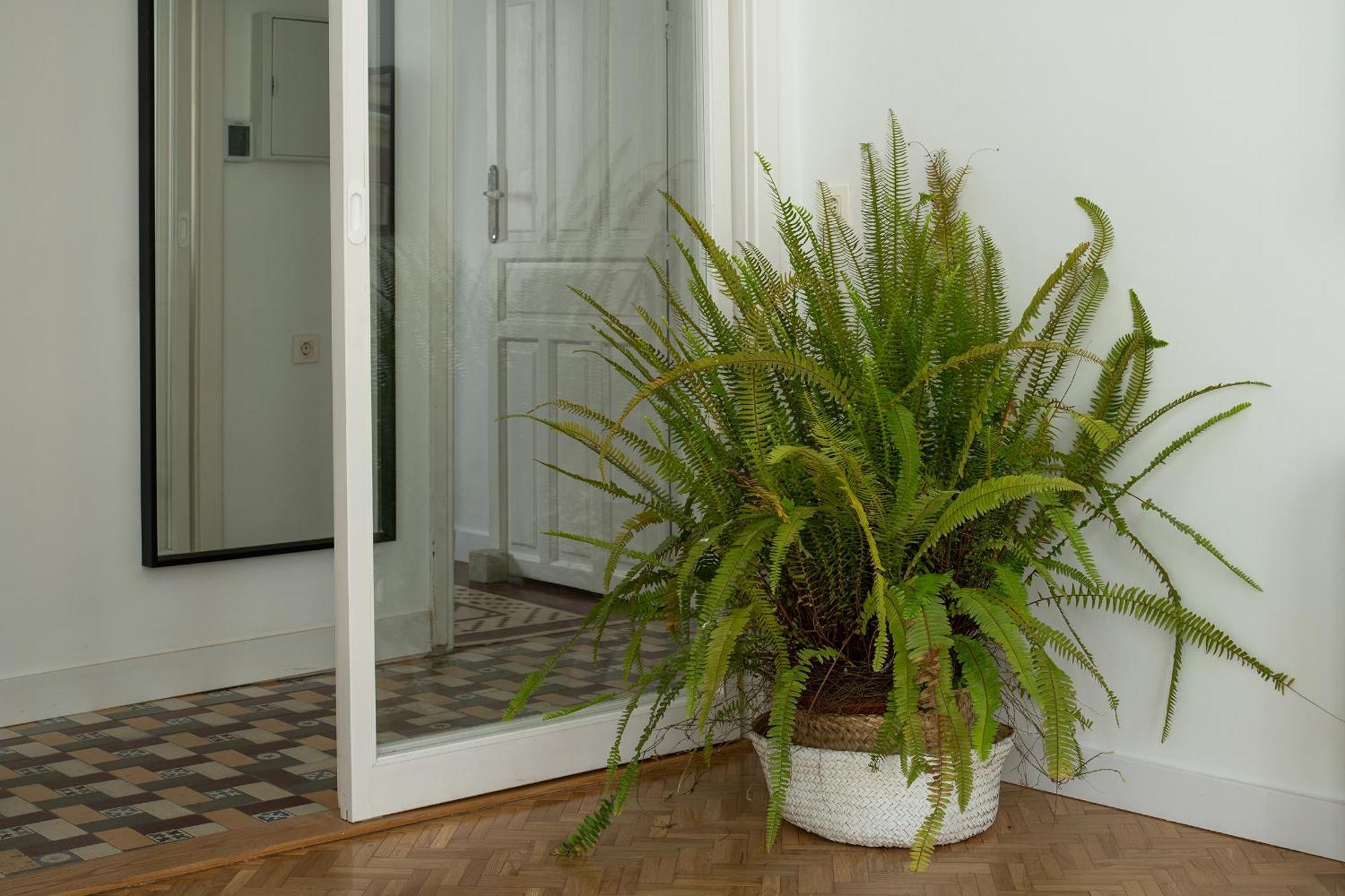 Parking Free, Vintage Haven Apartment Granada