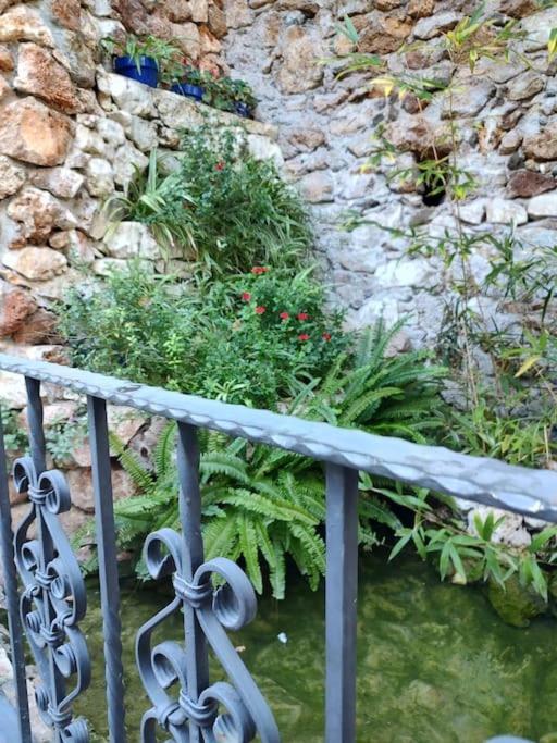 Historic Downtown Apartment Mijas