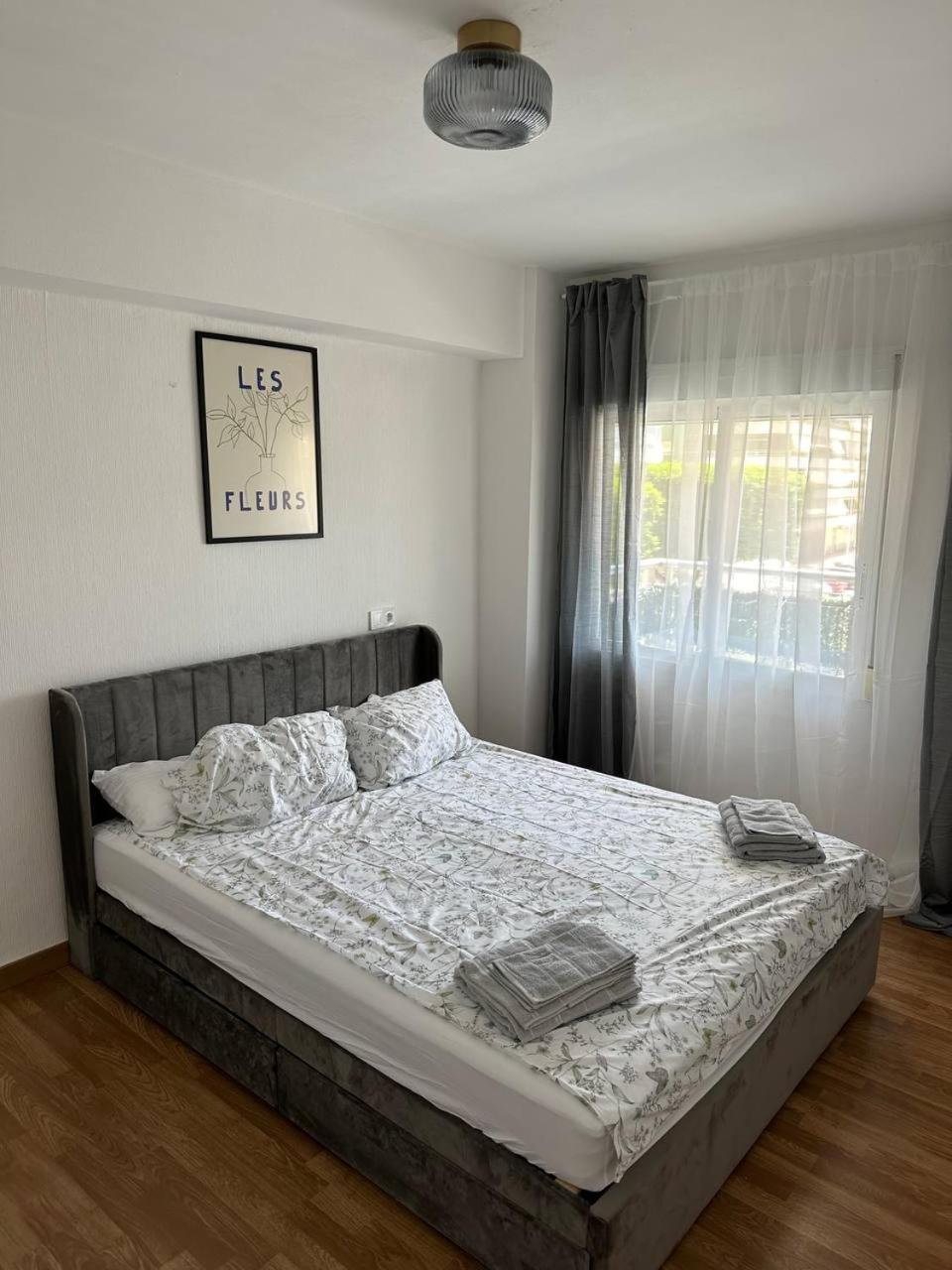 Seashell In Apartment Cullera