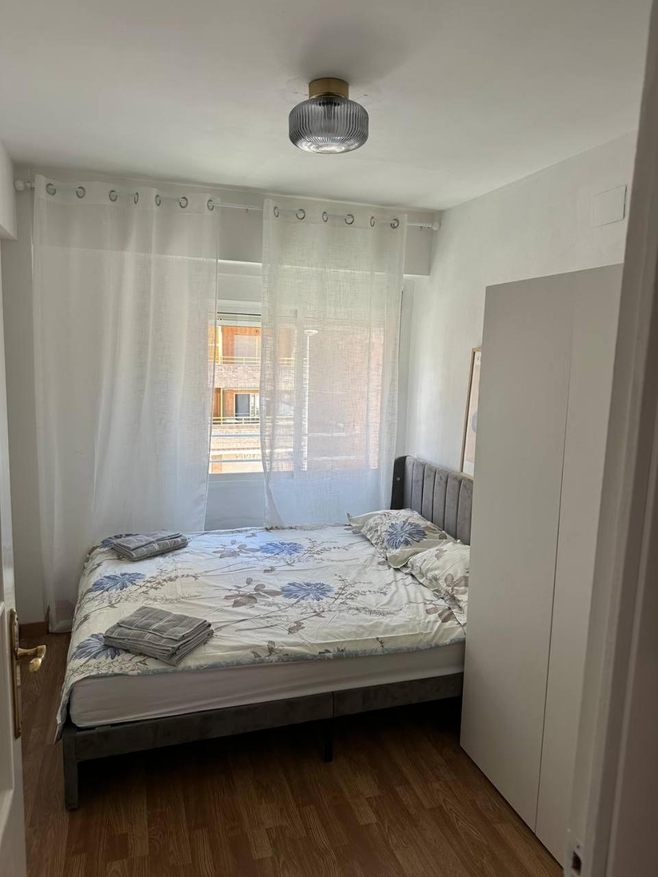 Seashell In Apartment