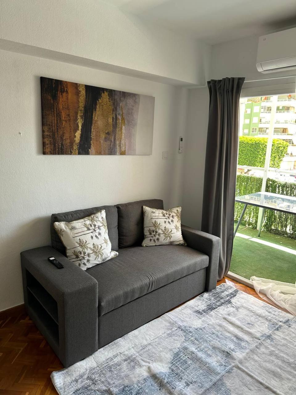 Seashell In Apartment