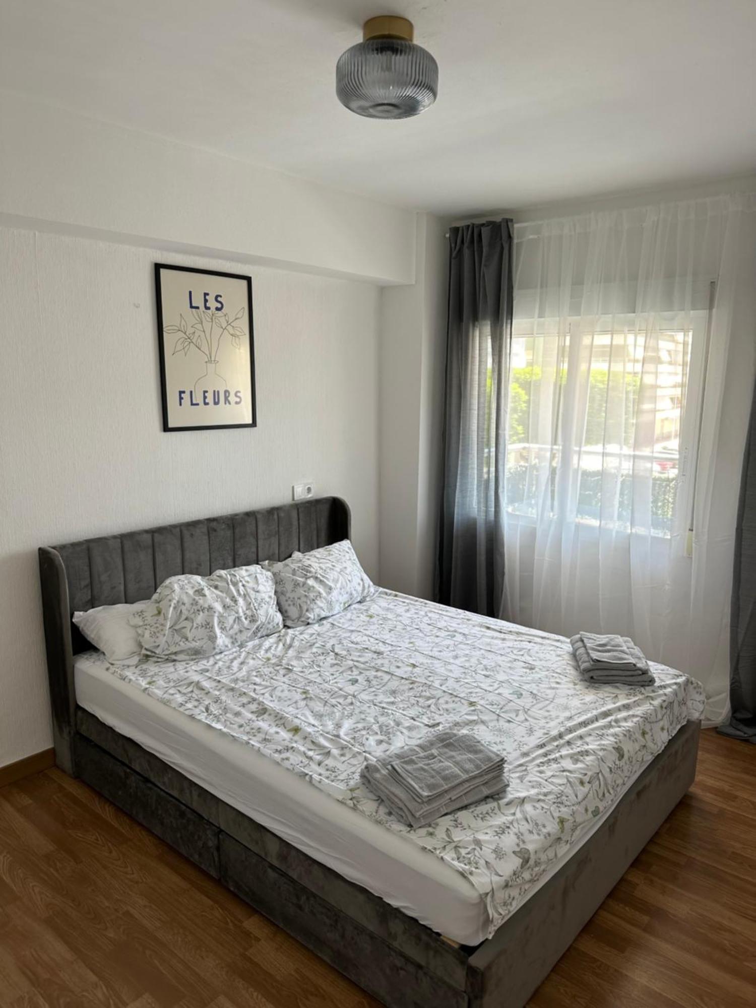 Apartment Seashell In