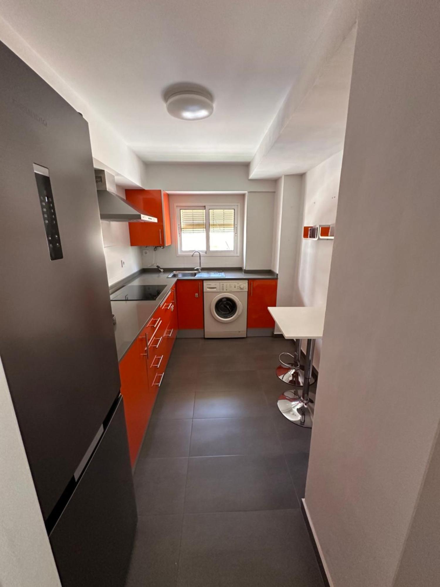 Seashell In Apartment Cullera