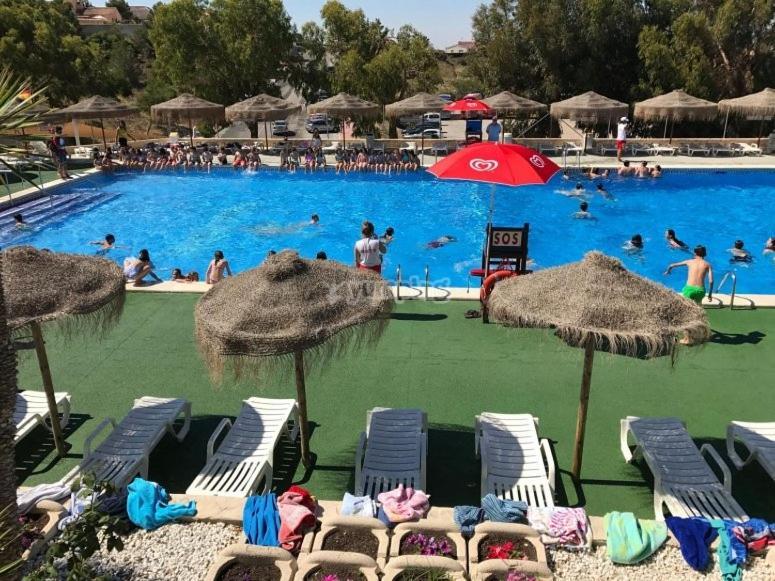 Independiente En Con Piscina Compartida Apartamento Ciudad Quesada
