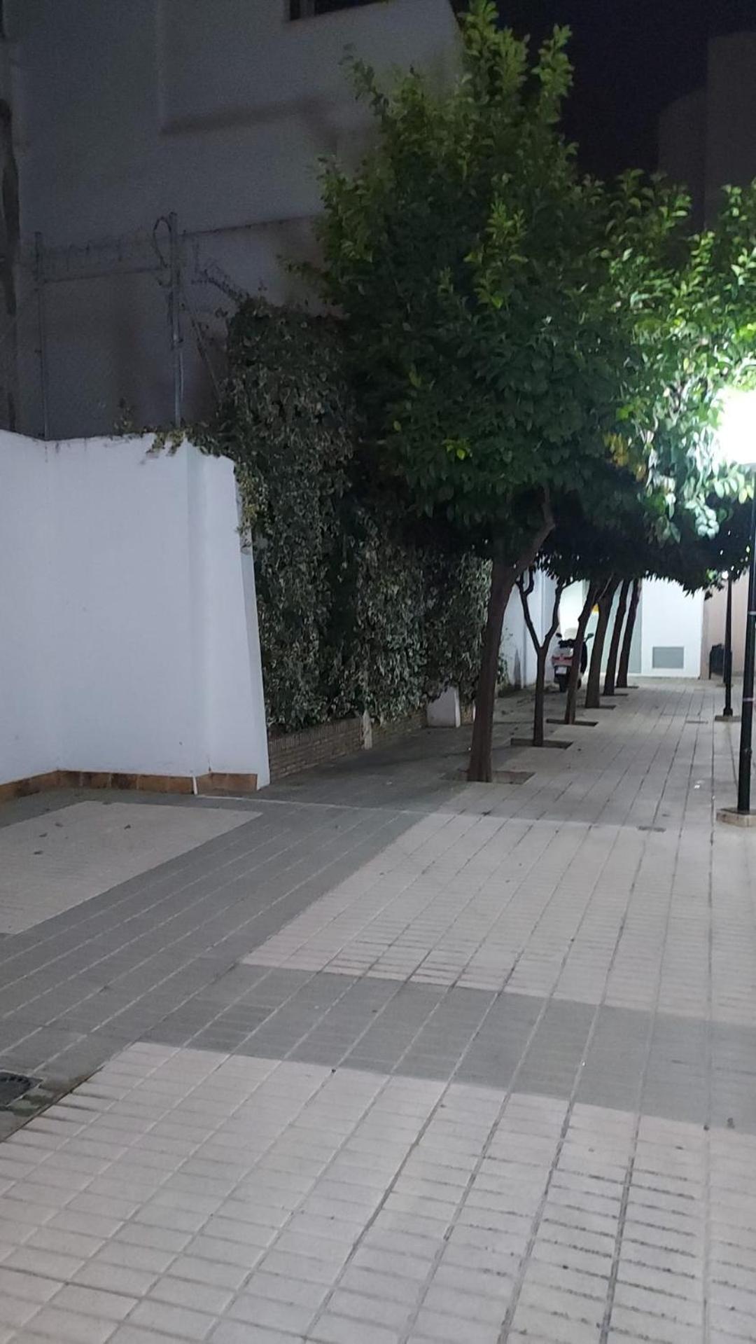 Alfonso Xii Center Seville