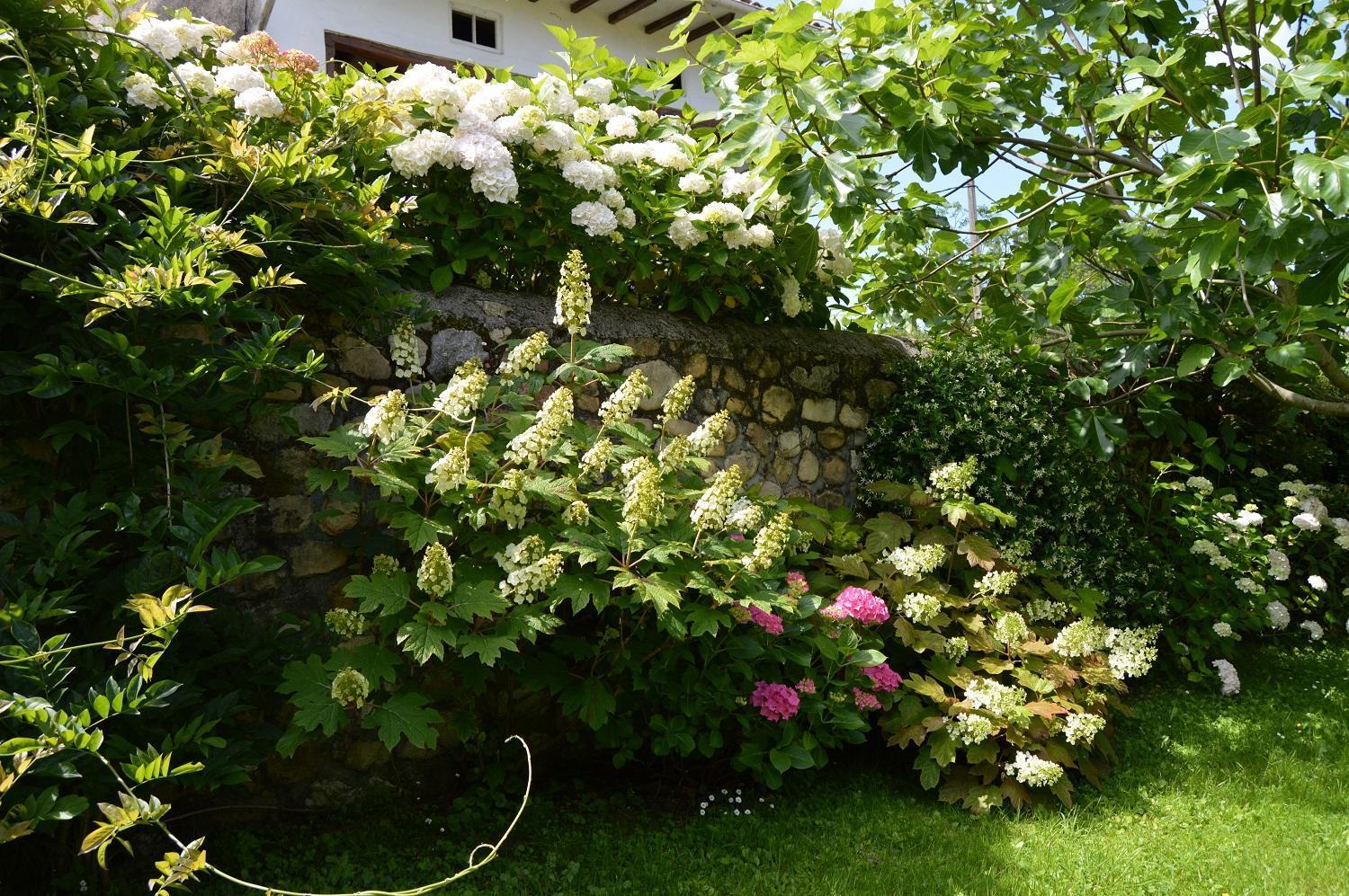 Rural Arpa De Hierba Hotel Llanes