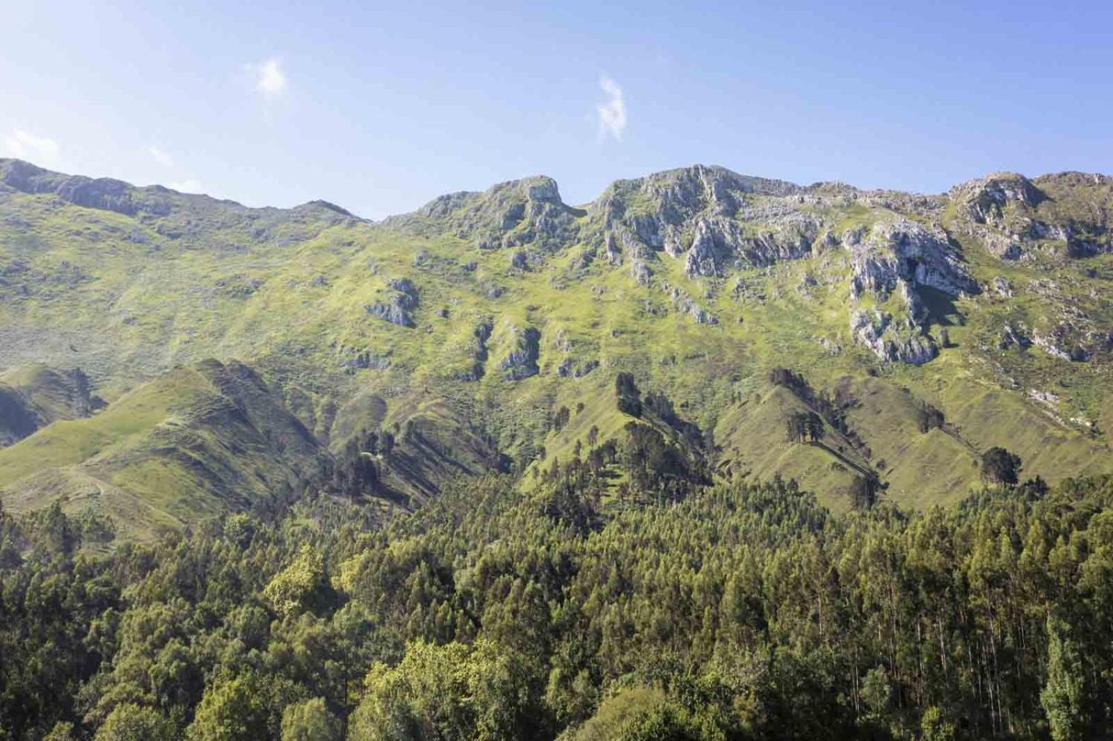 Rural Arpa De Hierba 3*